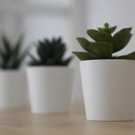 Pirineos Sabi Appartement