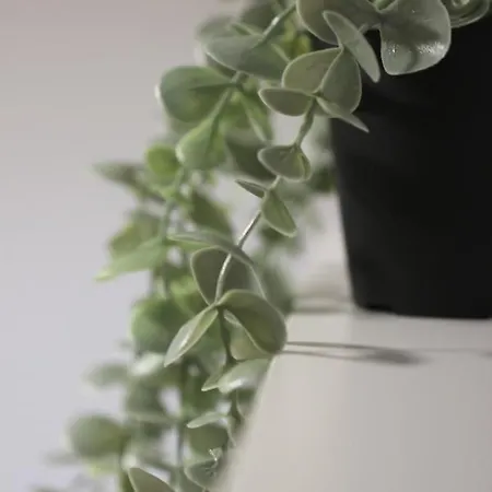 Pirineos Sabi Appartement