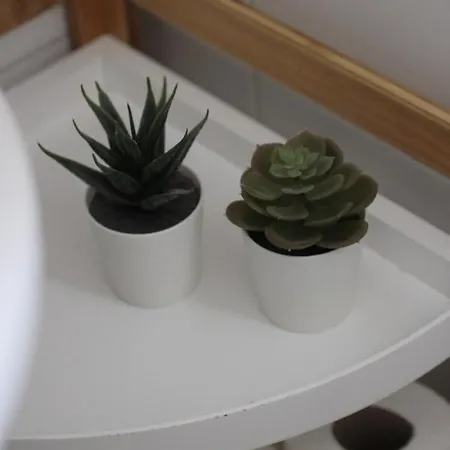 Appartement Pirineos Sabi Sabiñánigo